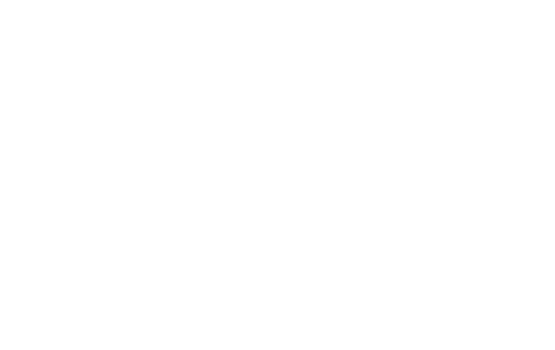 American Advertising Awards Logo
